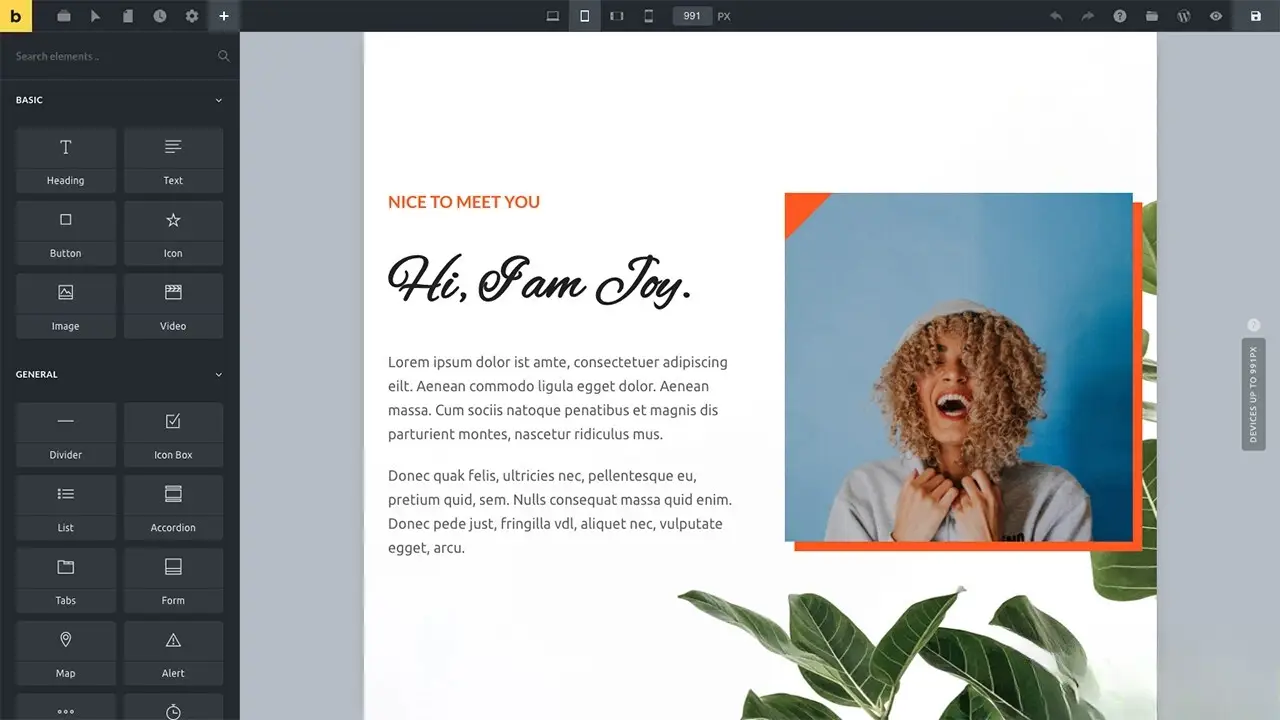 WordPress主题Bricks v1.9 破解版-山云部落官网 | 资源交流社区-sy.team