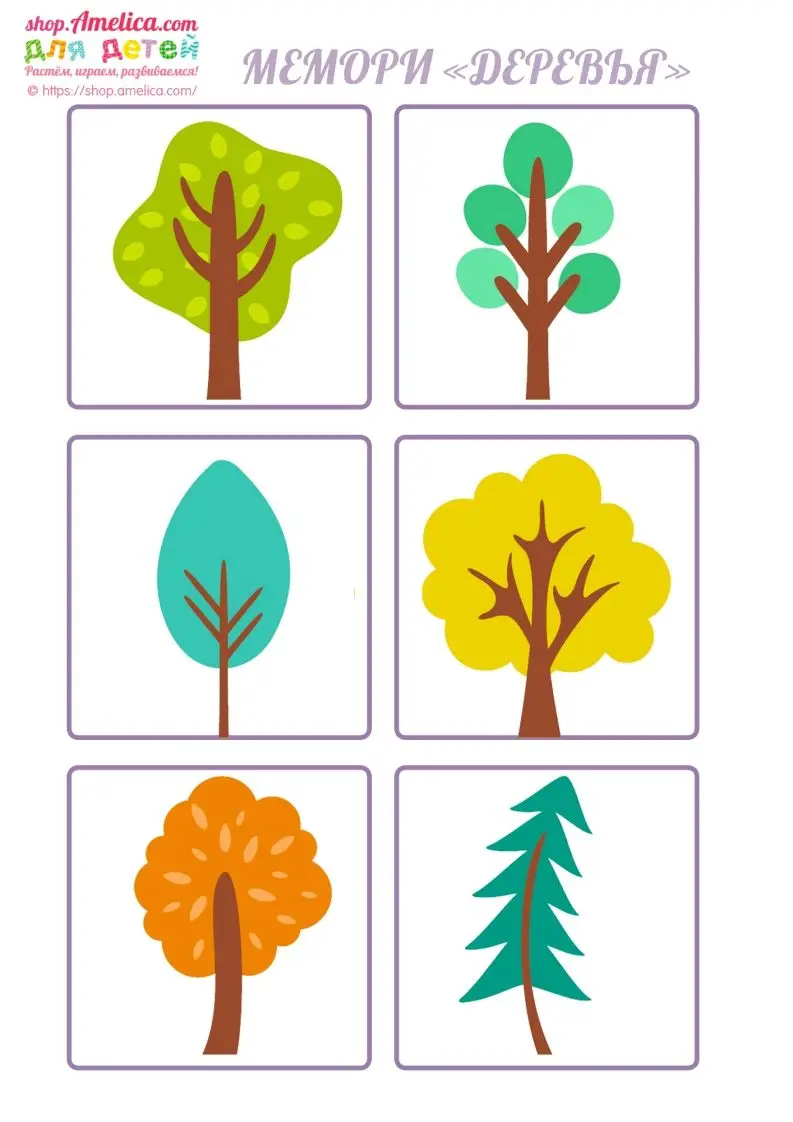 记忆卡片14-山云部落官网 | 资源交流社区-sy.team