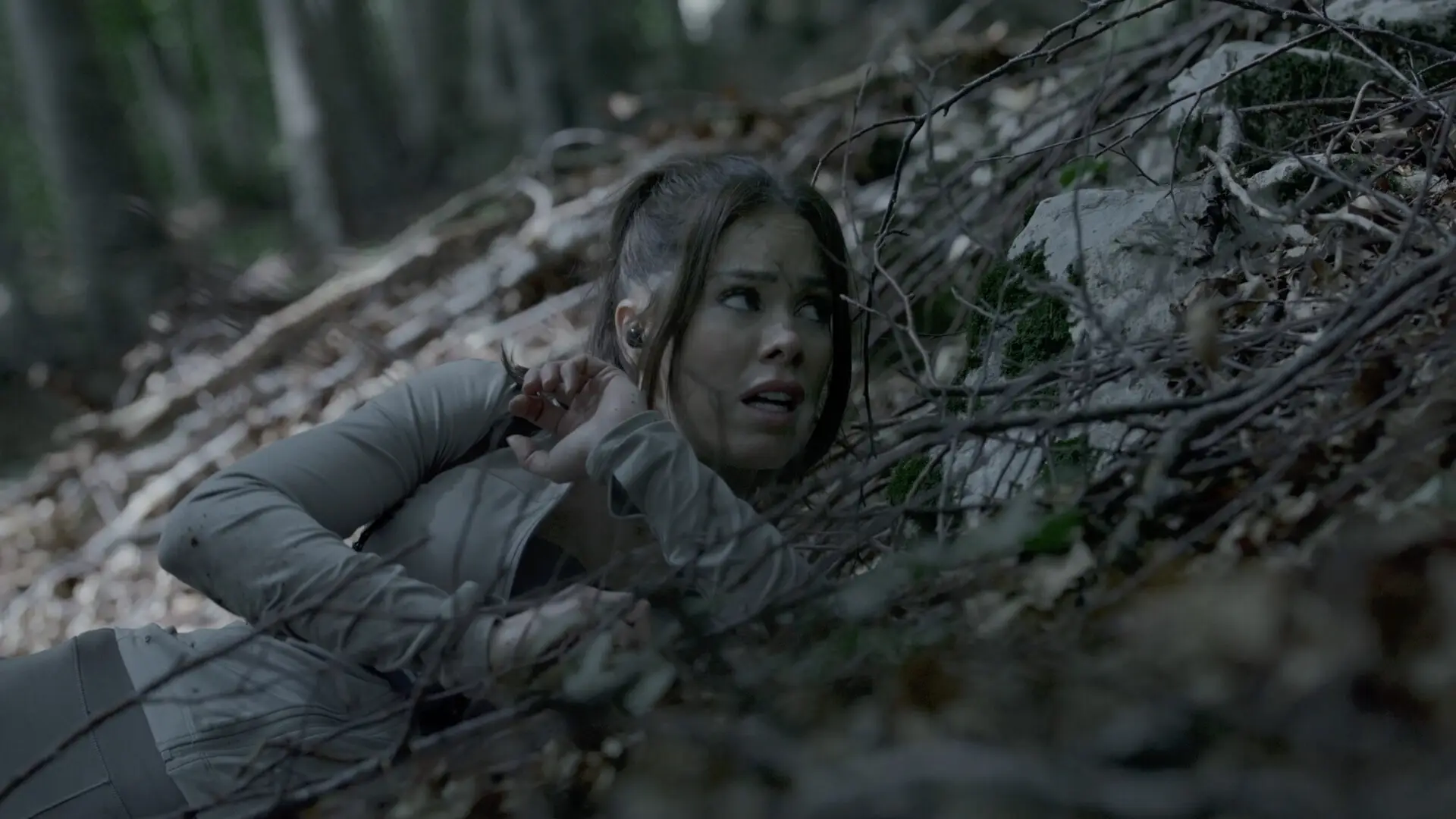 奔跑/The Run 奔跑/The Run