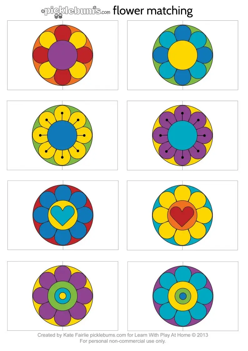 记忆卡片12-山云部落官网 | 资源交流社区-sy.team