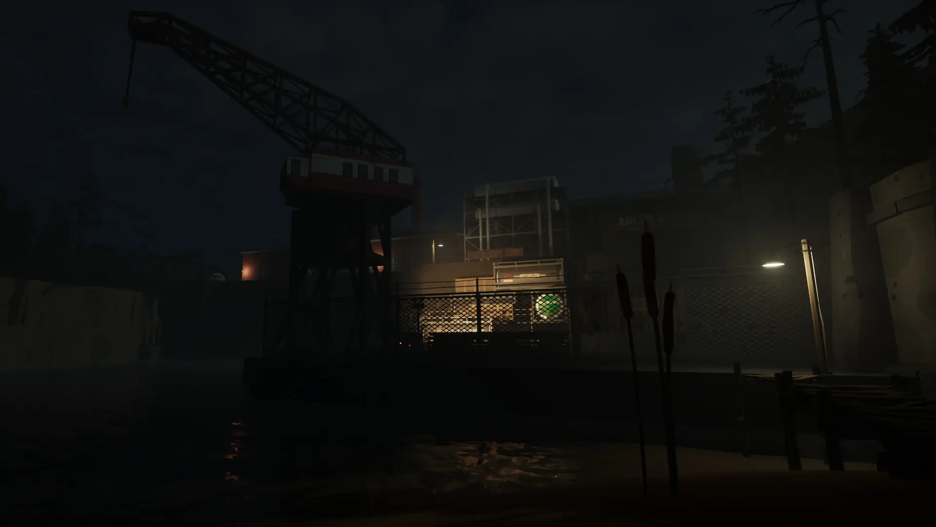 银鱼计划/Project Silverfish