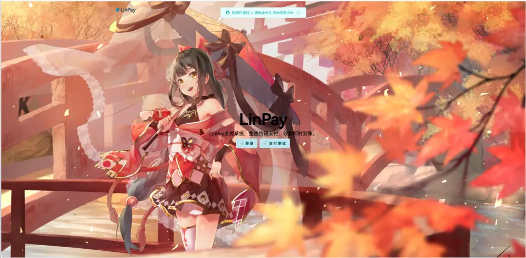 2024首发最新LinPay码支付免授权版,LinPay码支付官网,码支付,源支付