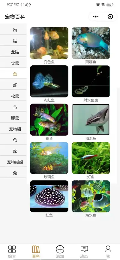 开源宠物社区微信小程序源码 开源宠物社区微信小程序源码