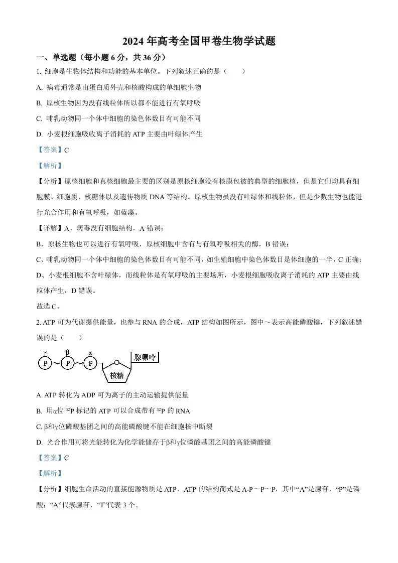 2024年高考生物试卷（全国甲卷）（含答案）-山云部落官网 | 资源交流社区-sy.team