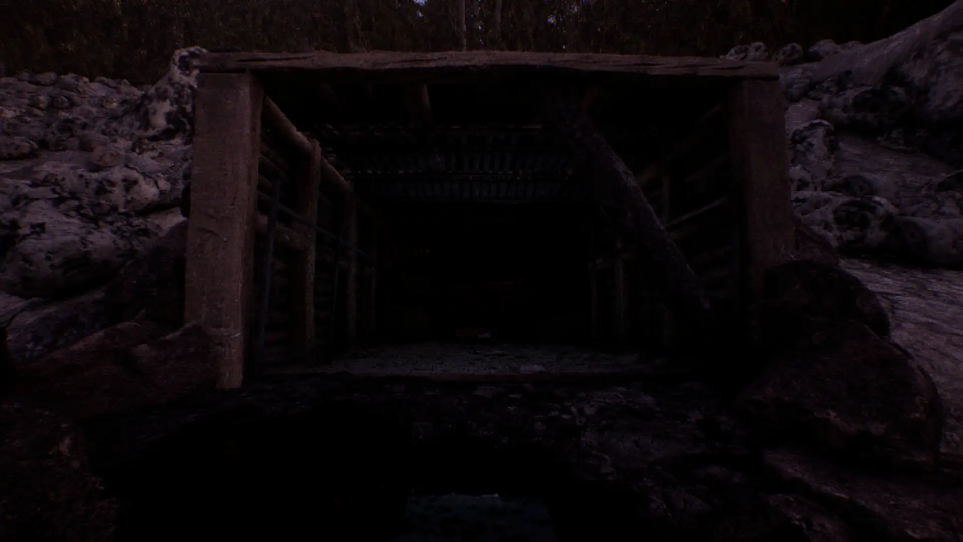 凝视之林：虱子/The Watching Woods: The Louse-山云部落官网 | 资源交流社区-sy.team